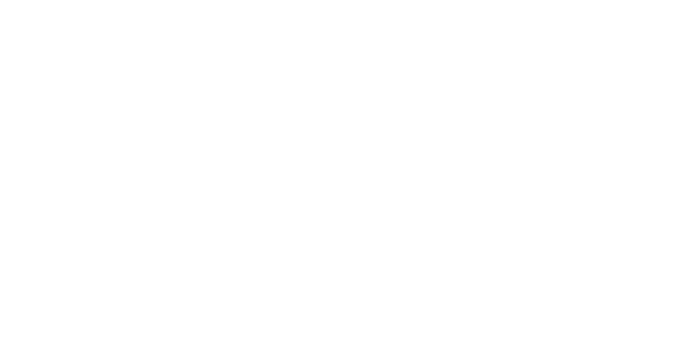 Company_Hero_Steel_Logo_D